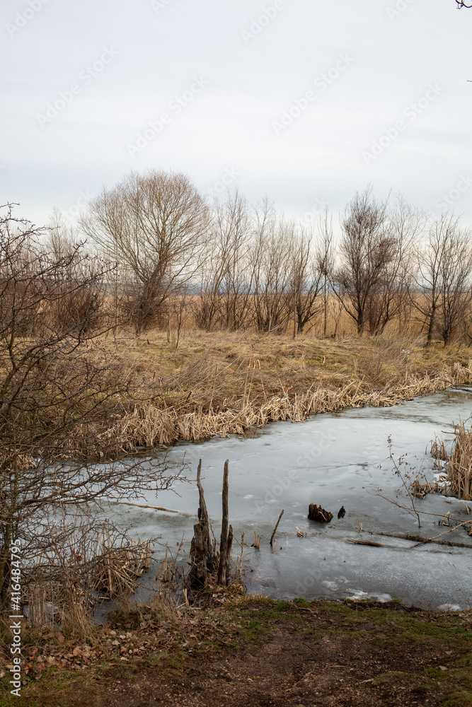 Obraz premium frozen river in winter