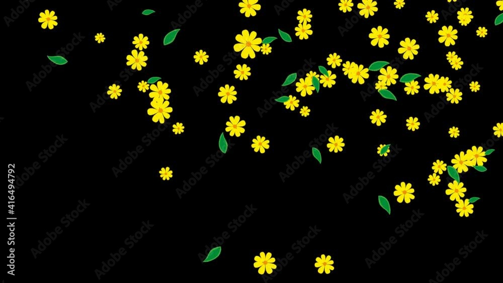 Flowers Falling isolated on transparent background in 4K with alpha channel could be used for composing, motion graphics. Christmas and New Year winter Snow Animation. Blooming Flowers fall from top. Flowers Falling isolated on transparent background in 4K with alpha channel could be used for composing, motion graphics. Christmas and New Year winter Snow Animation. Blooming Flowers fall from top.