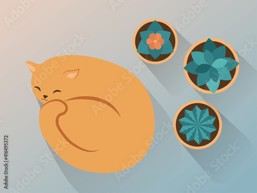 The cat sleeps near flower pots vector illustration