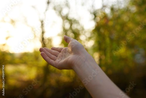 female hand nature park summer trees sun green grass © SHOTPRIME STUDIO