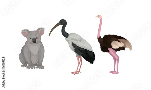Koala Bear and Emu Bird as Australian Animals Vector Set