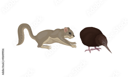 Mulgara and Feathered Bird with Long Bill as Australian Animals Vector Set