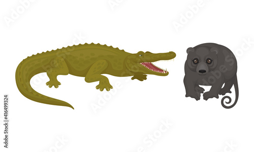 Crocodile and Possum as Australian Animals Vector Set