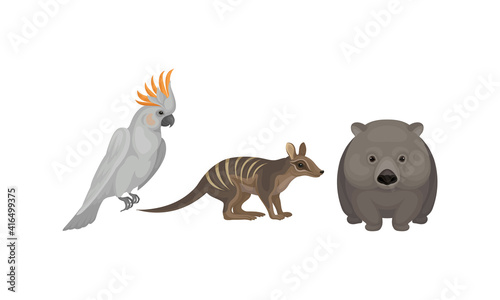 Common Wombat and Bandicoot as Australian Animals Vector Set