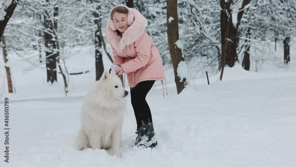 girl with a dog Samoyed girl with a dog Samoyed