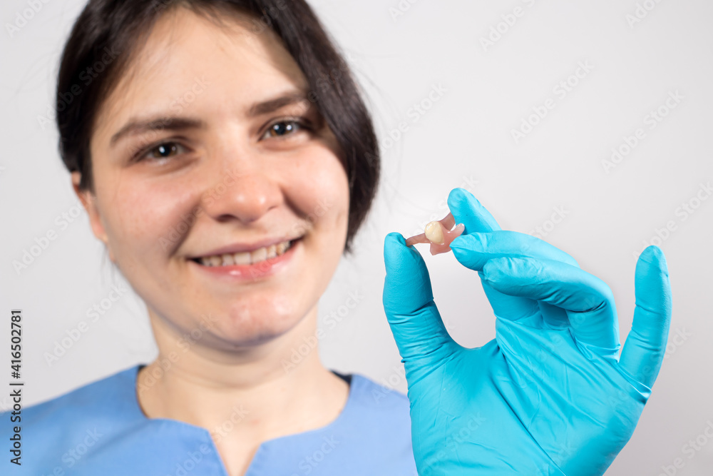 Dentist holding ceramic artificial false unit tooth. Dental prosthesis in gloved hands of the doctor close-up. Dentistry conceptual photo. Prosthetic dentistry. False teeth Dentist holding ceramic artificial false unit tooth. Dental prosthesis in gloved hands of the doctor close-up. Dentistry conceptual photo. Prosthetic dentistry. False teeth