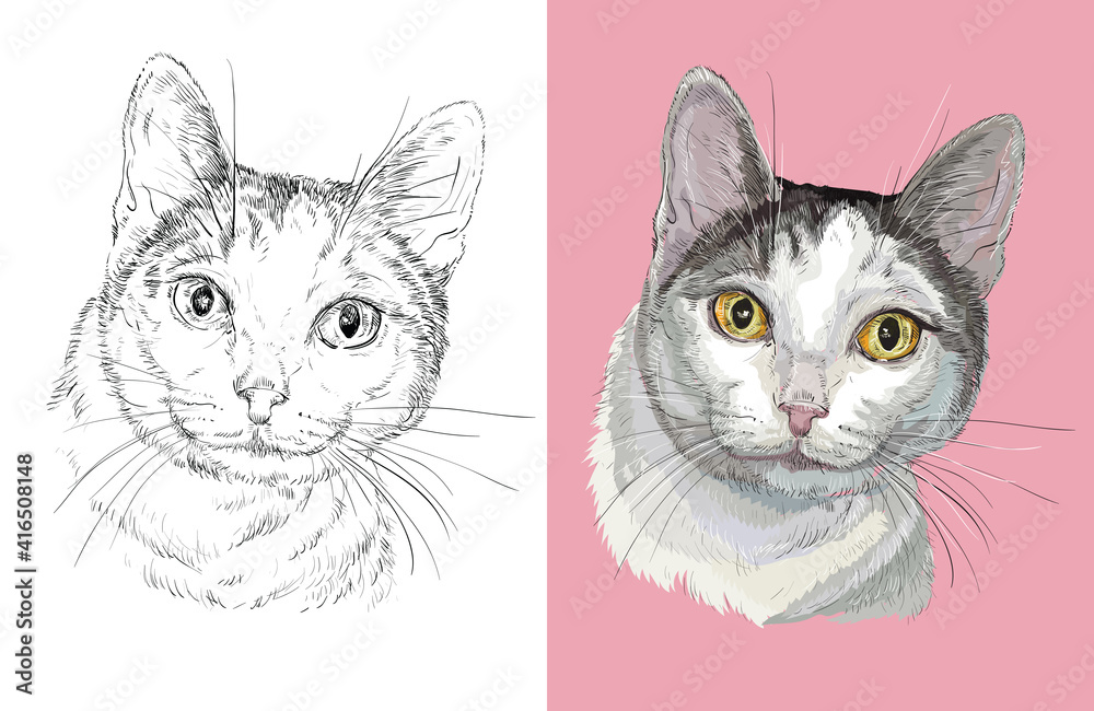 Hand drawn head of fluffy cat. Vector black and white and colorful isolated illustration of horse. For decoration, coloring book, design, prints, posters, postcards, stickers, tattoo, t-shirt Hand drawn head of fluffy cat. Vector black and white and colorful isolated illustration of horse. For decoration, coloring book, design, prints, posters, postcards, stickers, tattoo, t-shirt