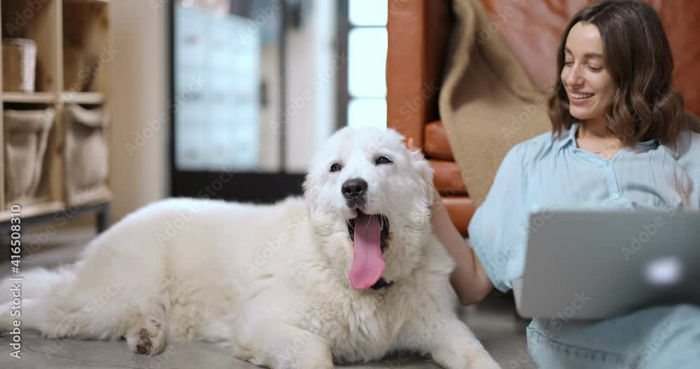 Young woman works on a laptop while sitting with her adorable white dog on the floor at cozy home. Dolly out shot Young woman works on a laptop while sitting with her adorable white dog on the floor at cozy home. Dolly out shot