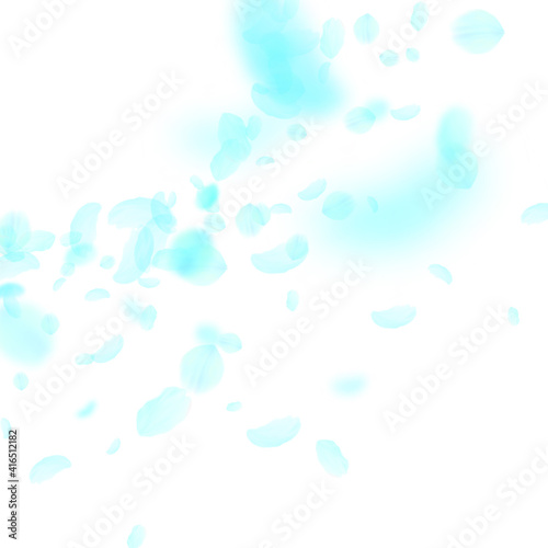 Turquoise flower petals falling down. Pleasing rom