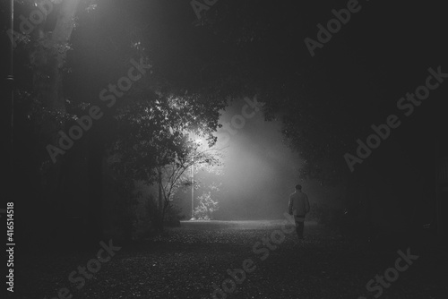 Park in the fog