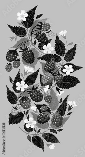 Hand drawn raspberry ornament isolated on gray background. Monochrome art painting.