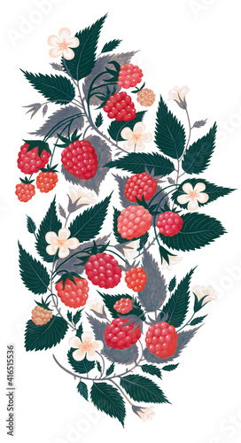 Hand drawn raspberry ornament isolated on white background. Art painting in cold colors