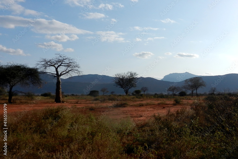 Tsavo - Ngulia Rhino Sanctuary s baobabem Tsavo - Ngulia Rhino Sanctuary s baobabem