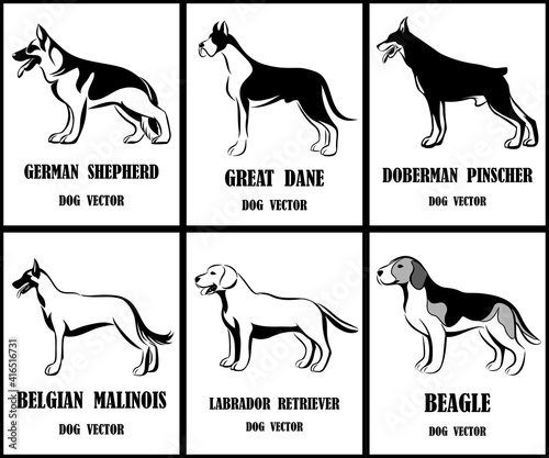 Line art vector illustration of various dogs such as German Shepherd, Great Dane, Dobermann, Belgian Malinois,  Labrador Retriever and beagle. a set of six pictures.