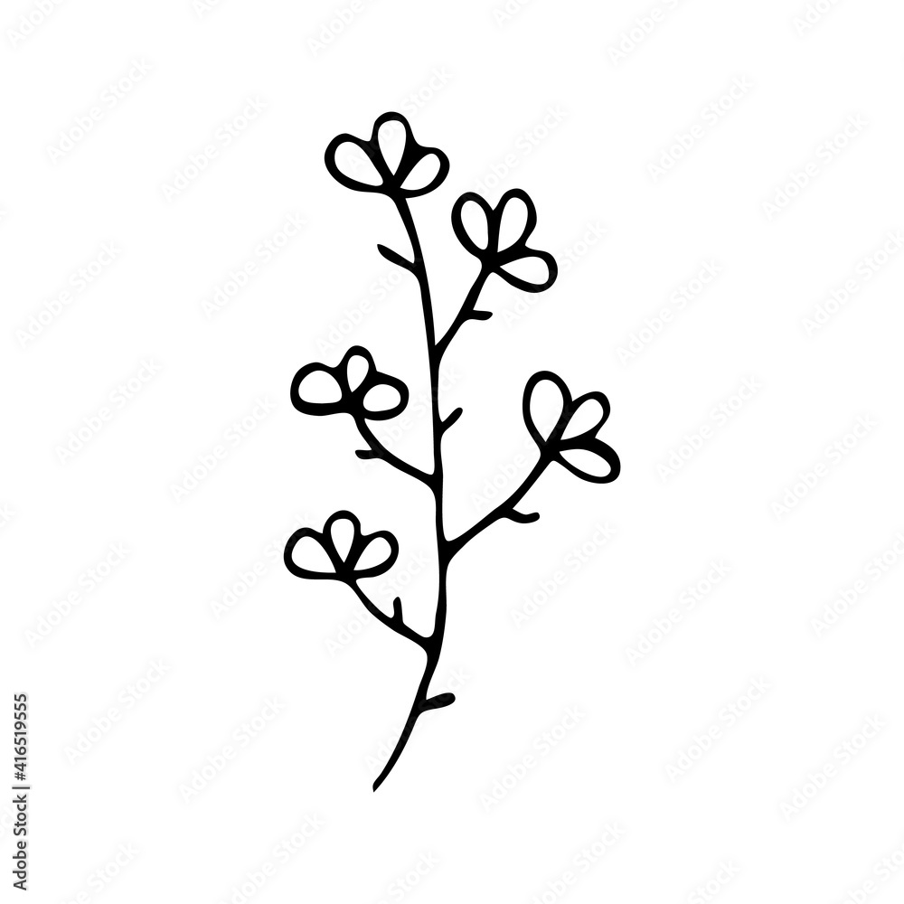 Doodle botany element. Hand-drawn images of flora. Image for various designs. Doodle botany element. Hand-drawn images of flora. Image for various designs.