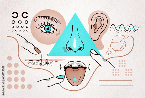 Sensory organs, eyes, nose, ear, mouth, tongue, cutaway skin, sensitivity, physical sensations of person. Abstract illustration, poster, card. photo