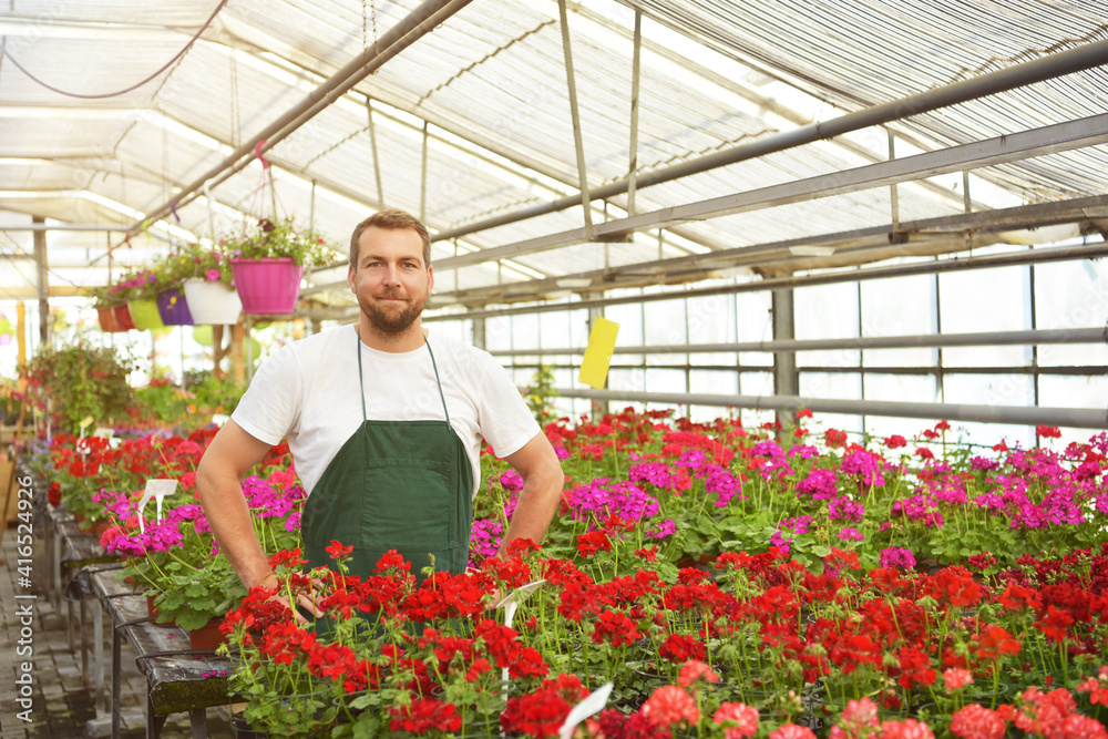 happy worker growing flowers in a greenhouse of a flower shop
