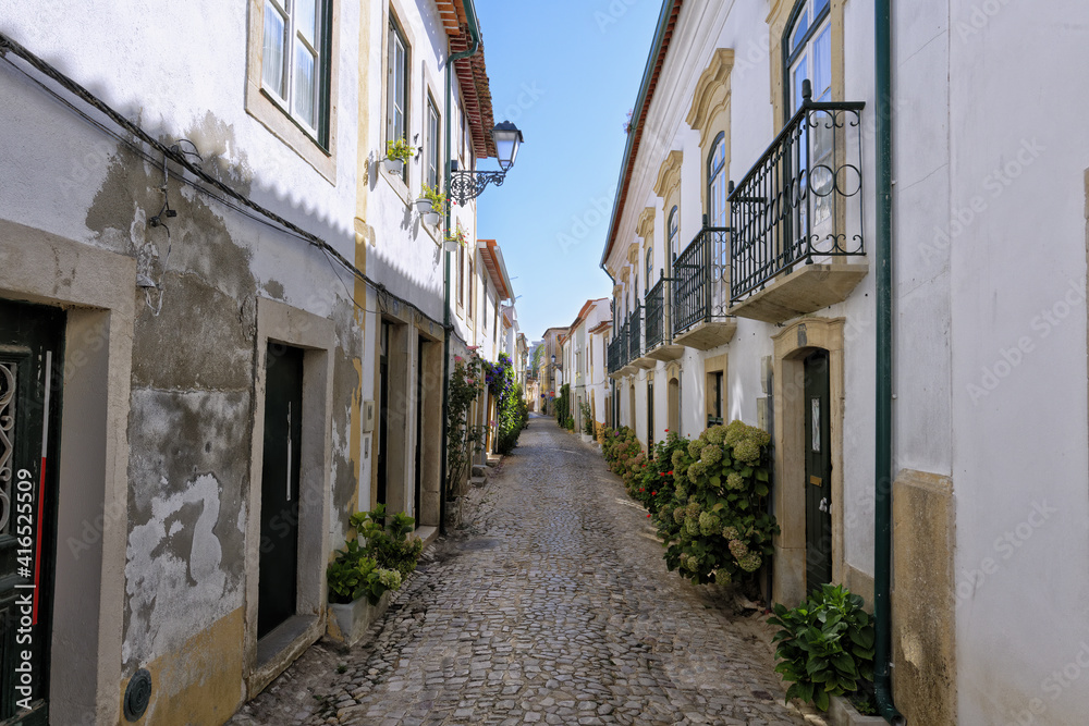 Street in city center, Tomar, Santarem district, Portugal
