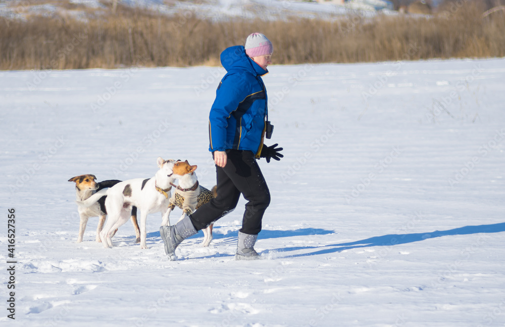 Mature woman playing with three dogs on a snow covered earth  winter season