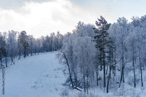 Forest mountains of the Urals in winter. Trees covered with frost and shackled by the winter cold