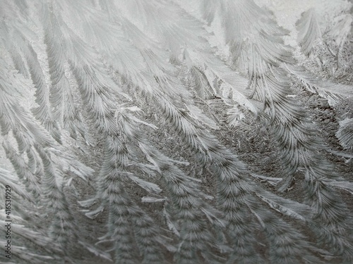 frost painting