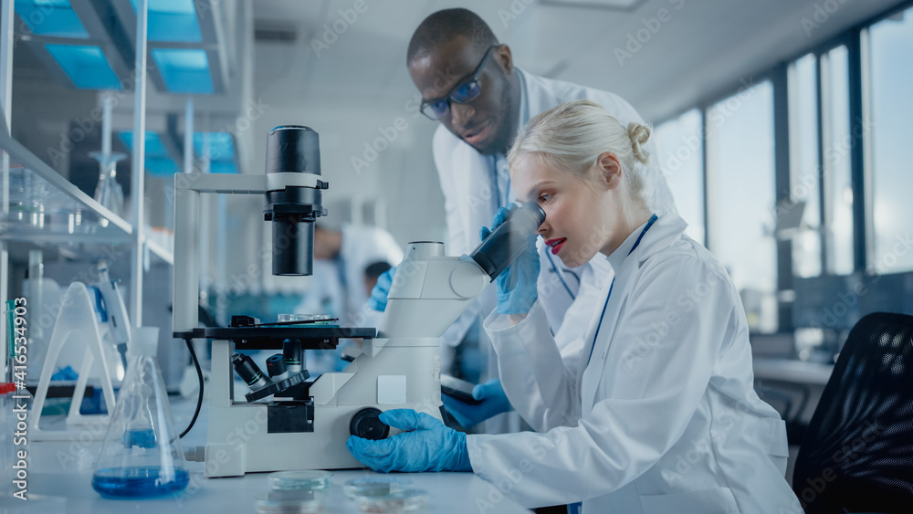 Modern Medical Research Laboratory: Two Scientists Working Together Using Microscope, Analysing Samples, Talking. Advanced Scientific Lab for Medicine, Biotechnology. Modern Medical Research Laboratory: Two Scientists Working Together Using Microscope, Analysing Samples, Talking. Advanced Scientific Lab for Medicine, Biotechnology.