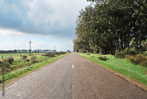 Road trip nature 1