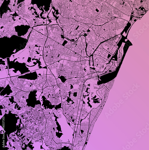 Recife, Pernambuco, Brazil (BRA) - Urban vector city map with parks, rail and roads, highways, minimalist town plan design poster, city center, downtown, transit network, gradient blueprint