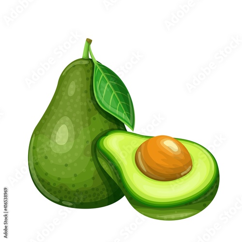 Avocado fruit vector illustration in cartoon style. Healthy nutrition, organic food, vegetarian product.