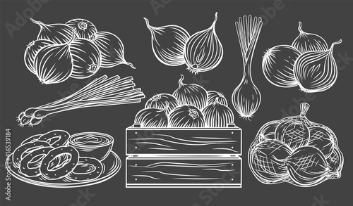 Onion outline drawn monochrome icon set on blackboard. White on black Pile of onion bulbs, packed in net bag, in wooden crate, bunch of fresh green onions and rings. Vector illustration.