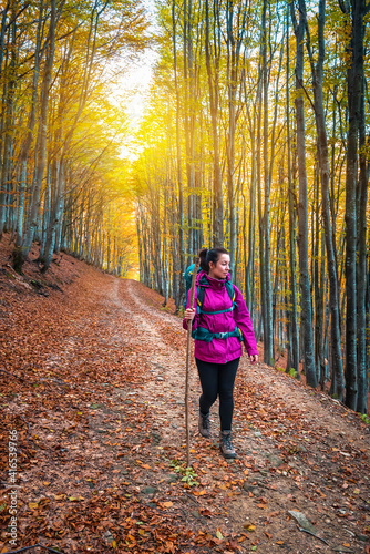 hiking in autumn forest © Volodymyr Shevchuk