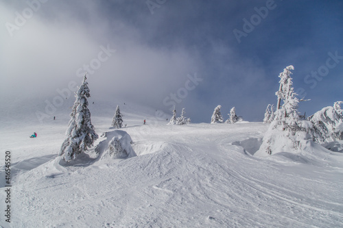 Snow-covered Christmas trees on top of the mountain at the ski resort
