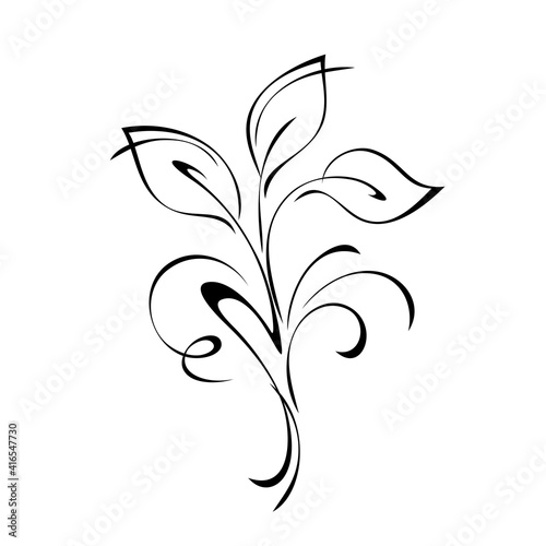 ornament 1573. unique stylized twig with leaves and curls in black lines on a white background