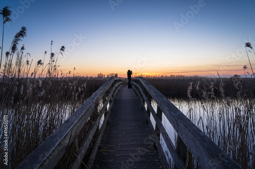 Silhouette of a man on a small bridge, birdwatching during sunset in a nature reserve.  © sanderstock