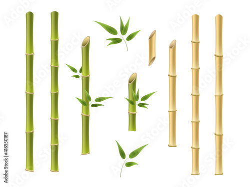 Fototapet Bamboo green and brown decoration elements in realistic style