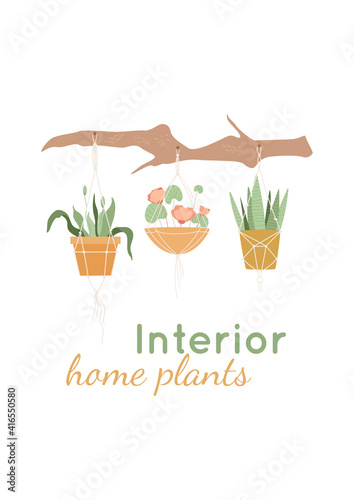 Interior home plants text. Potted flowers hang on a decorative branch in a handmade macrame planters. Advertise banner, card with leaves. Vector illustration on white background.