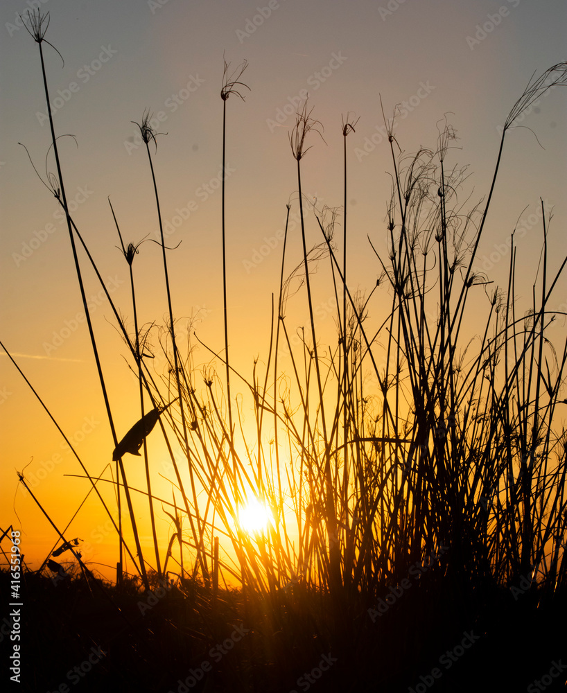 Fototapeta premium atardeceres y paisajes