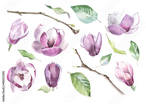 Watercolor Floral Elements Set Magnolia Flowers  Leaves and Branches