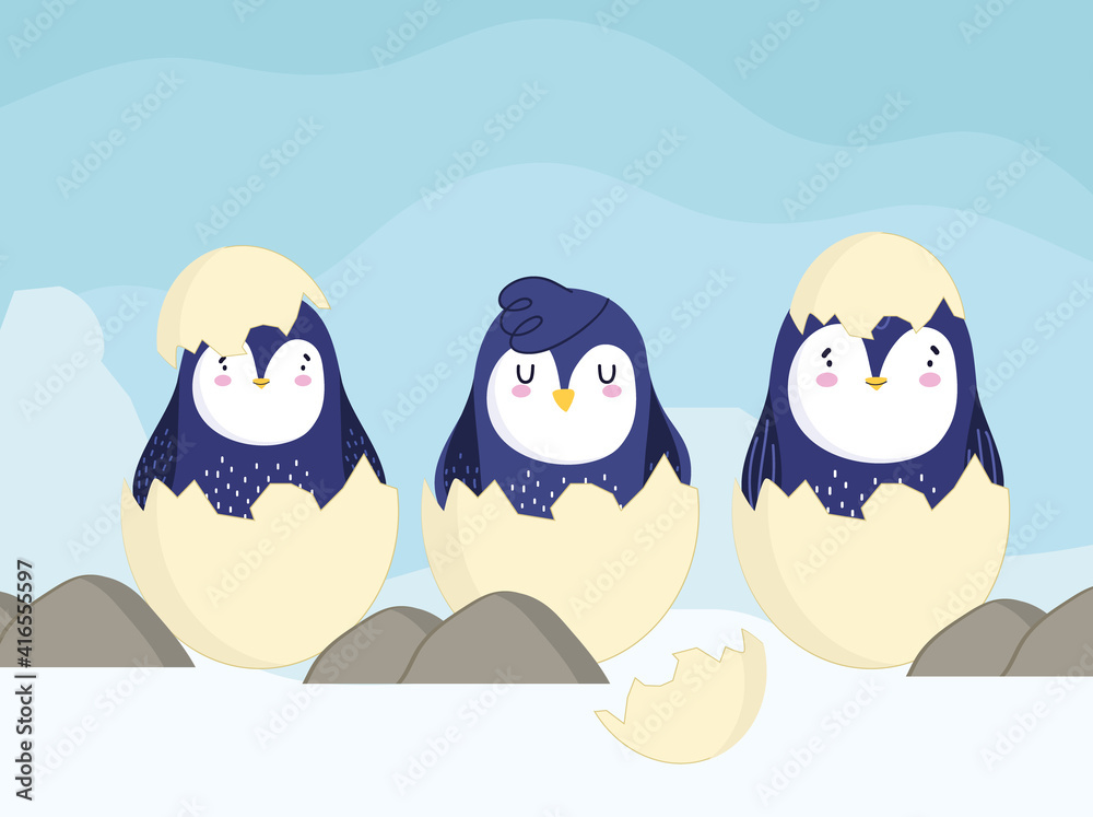 Fototapeta premium penguins eggs shell