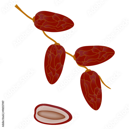 Dates fruit on a branch isolated on white background.