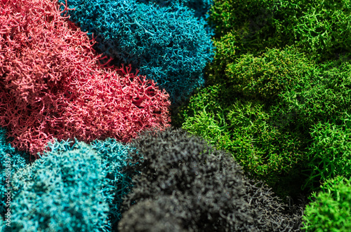 Colored designer decorative moss