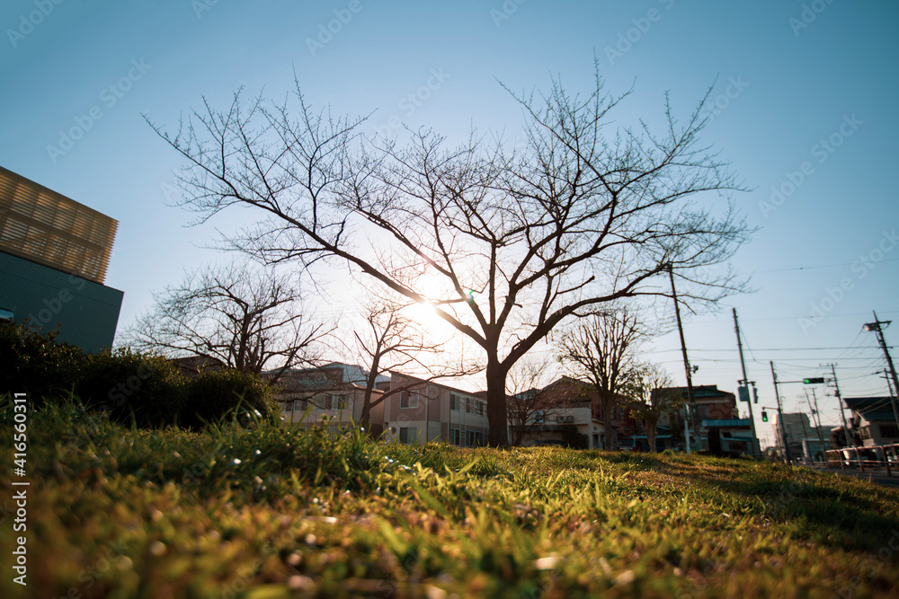 Obraz premium sunset in the city