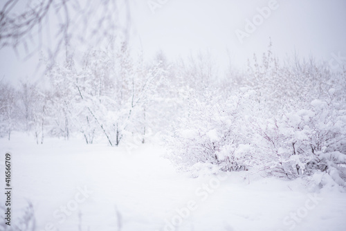 Snowy forest with snow falling in winter. Pure snowy forest nature. Winter foggy forest scene. Selective focus. © eskstock