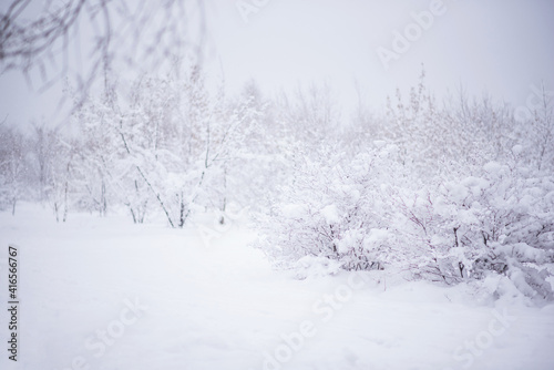 Misty landscape with snow covered forest. Winter forest covered by fresh snow during winter Christmas time. The winter scene with frosty trees, white snow foreground and foggy sky. © eskstock
