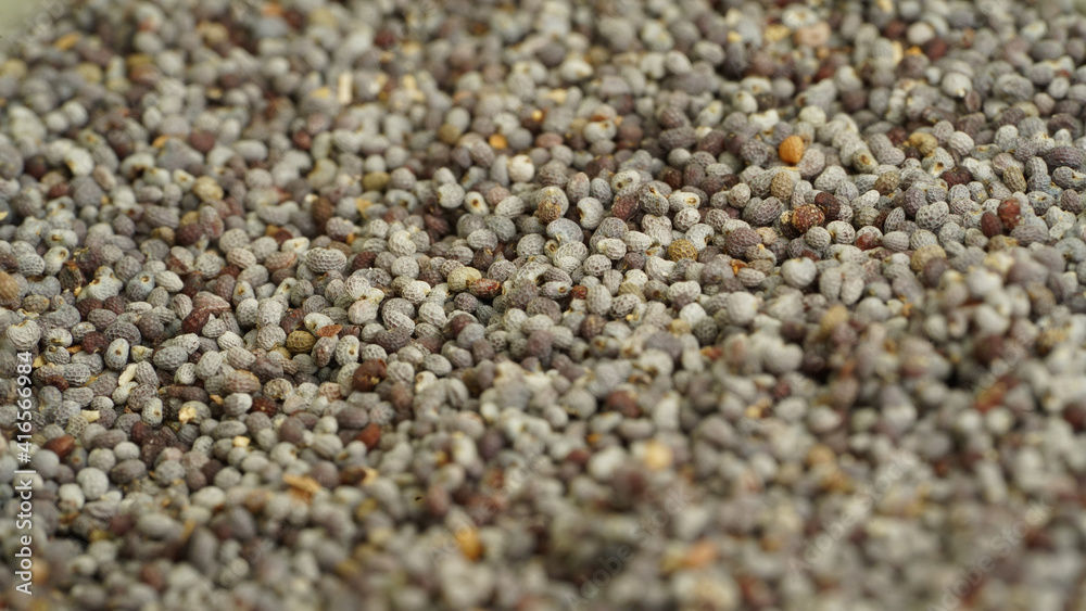 close up of a pile of pepper seeds. close up of a pile of pepper seeds.