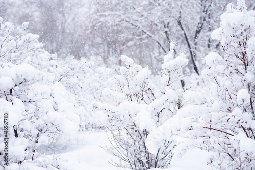 Snow covered trees and bushes in the winter forest. Background with snowy trees and heavy snowfall. Snowflakes on a background of a winter forest.