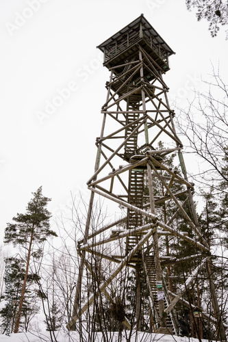 High wooden observation tower in a pine forest. Winter landscape. Latgale, Latvia. Cloudy sky.