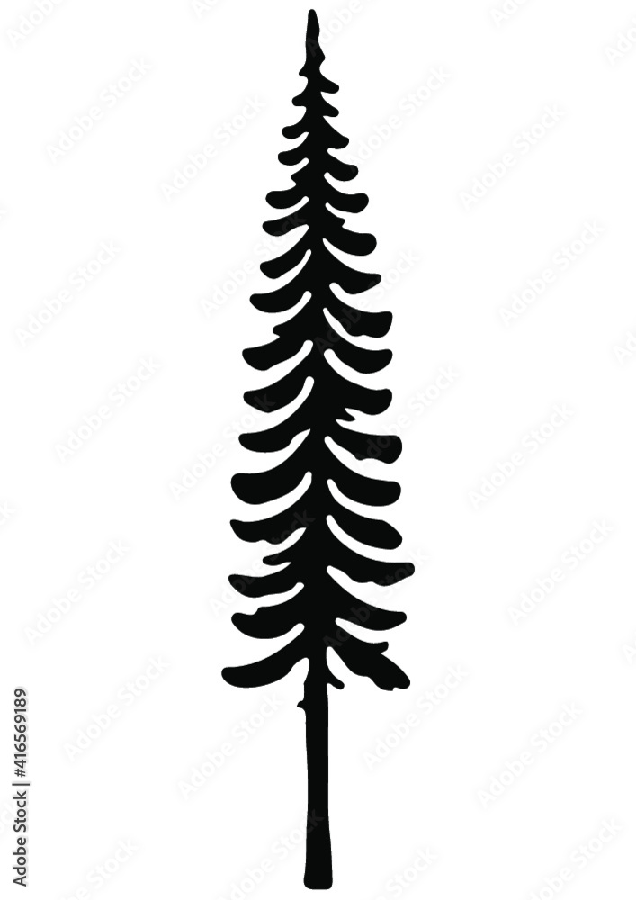 Pine, Tree, Forest, Camp, Camping, Hunt, Hunting, Woodland, Nature Pine, Tree, Forest, Camp, Camping, Hunt, Hunting, Woodland, Nature