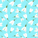 Seamless background with snowdrops. Vector. A repeating pattern with spring flowers. White flowers on blue background.