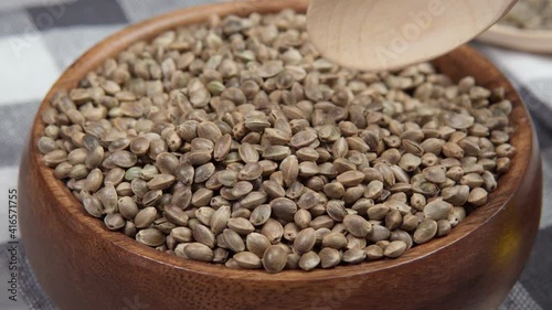 cannabis seeds is the concept of medical marijuana. Manu Cannabis seeds. Organic Hemp seed.